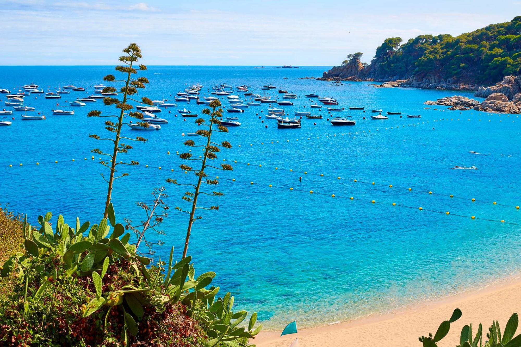 Apartment 1Llad01 - Llafranc Calella De Palafrugell Εξωτερικό φωτογραφία