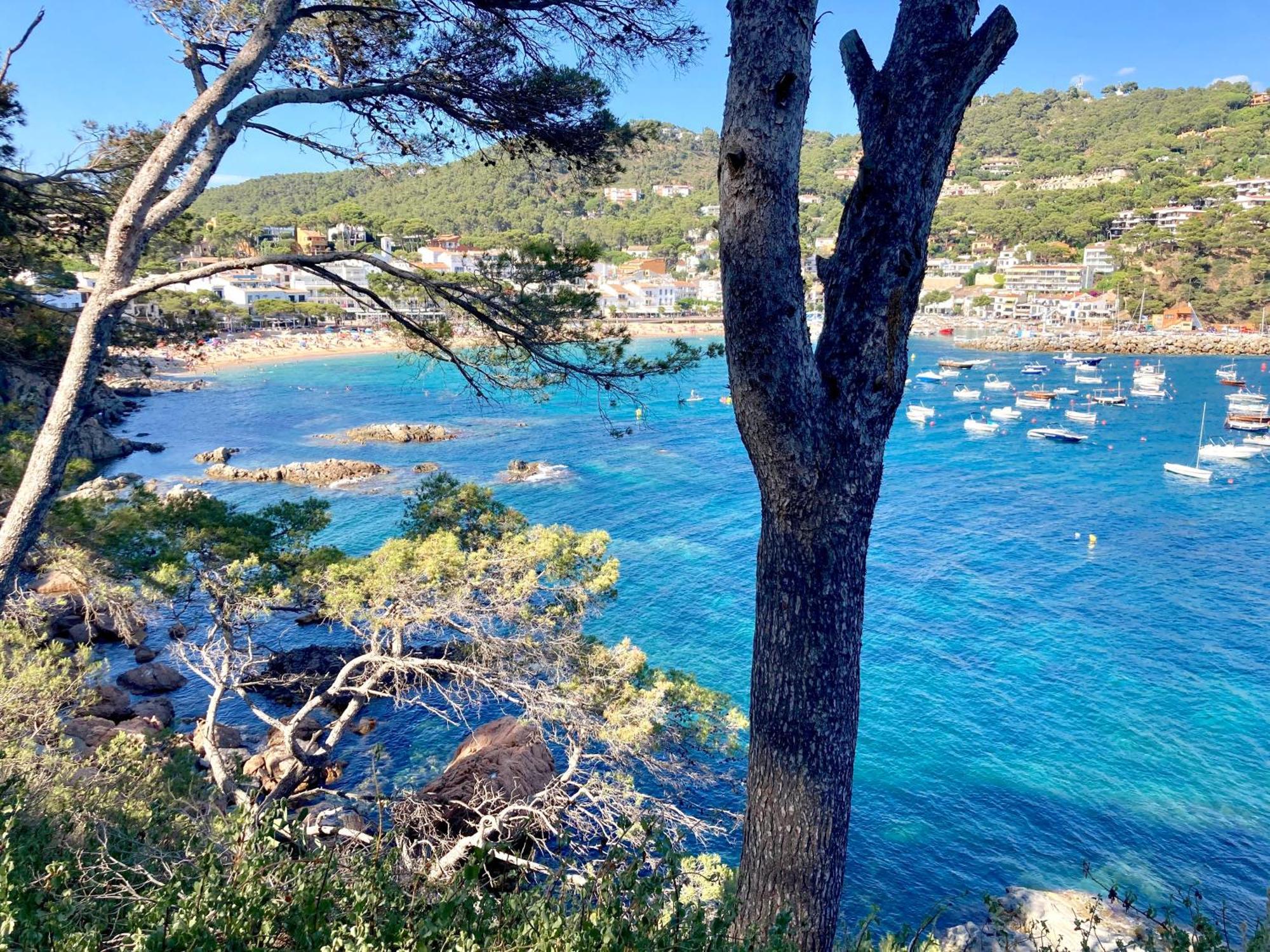 Apartment 1Llad01 - Llafranc Calella De Palafrugell Εξωτερικό φωτογραφία