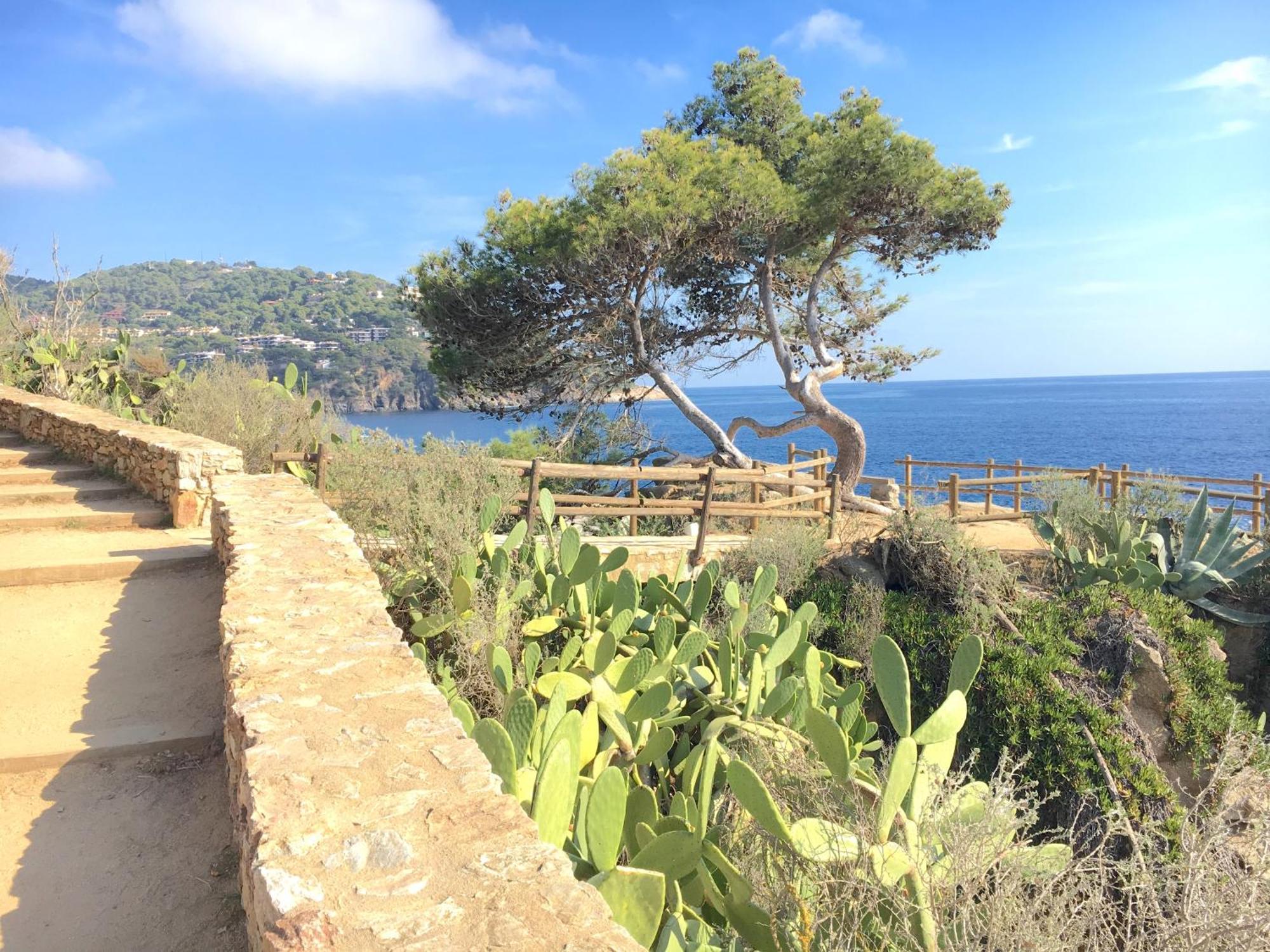 Apartment 1Llad01 - Llafranc Calella De Palafrugell Εξωτερικό φωτογραφία